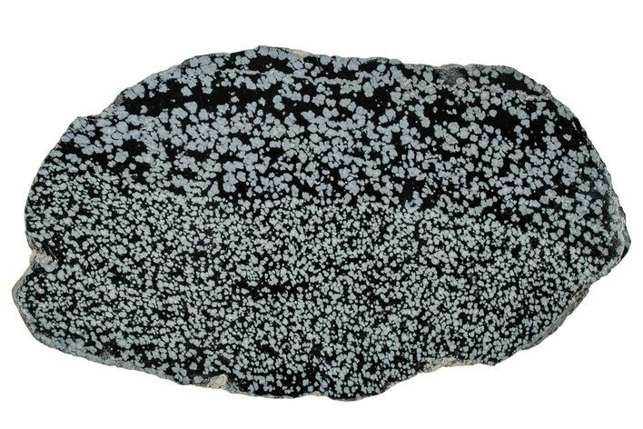 Polished Snowflake Obsidian Slab - Wyoming #336975